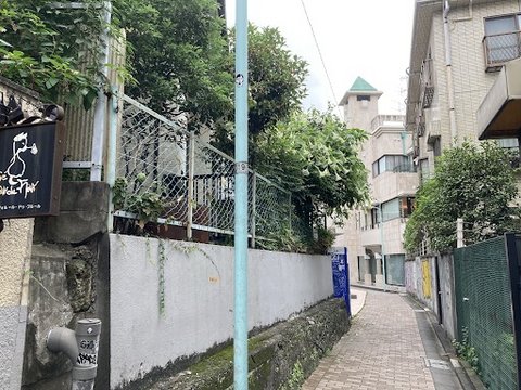 Everyday Life on Mozart Street